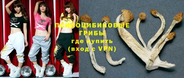 спиды Белокуриха