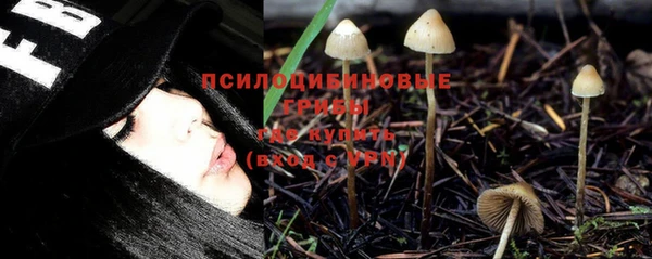 спиды Белокуриха