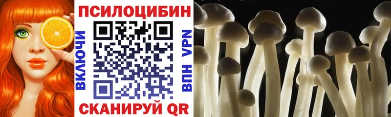 Галлюциногенные грибы Psilocybine cubensis Яровое